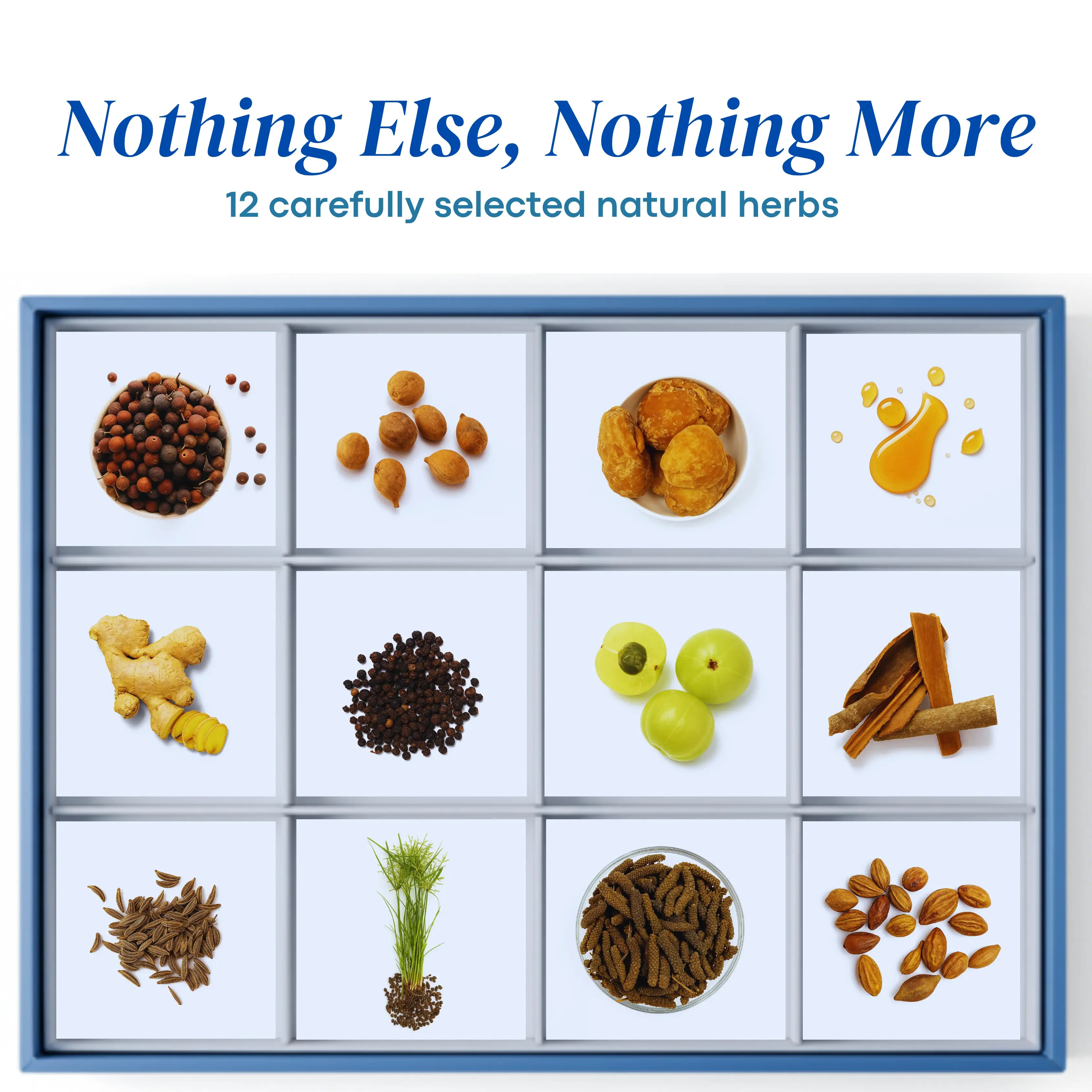 Moonbliss – Women’s Wellness Shots