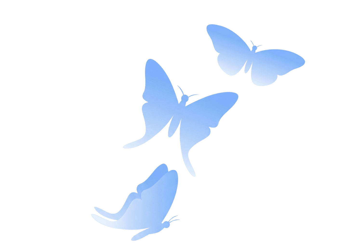 Blue butterfly illustration used as a Moonbliss brand element